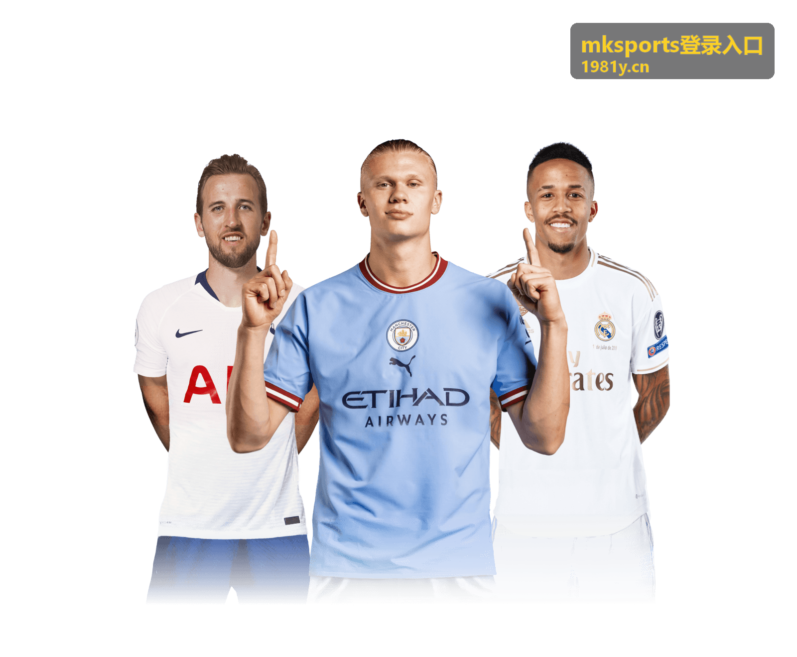 mksports登录入口页面结构与会员等级示意