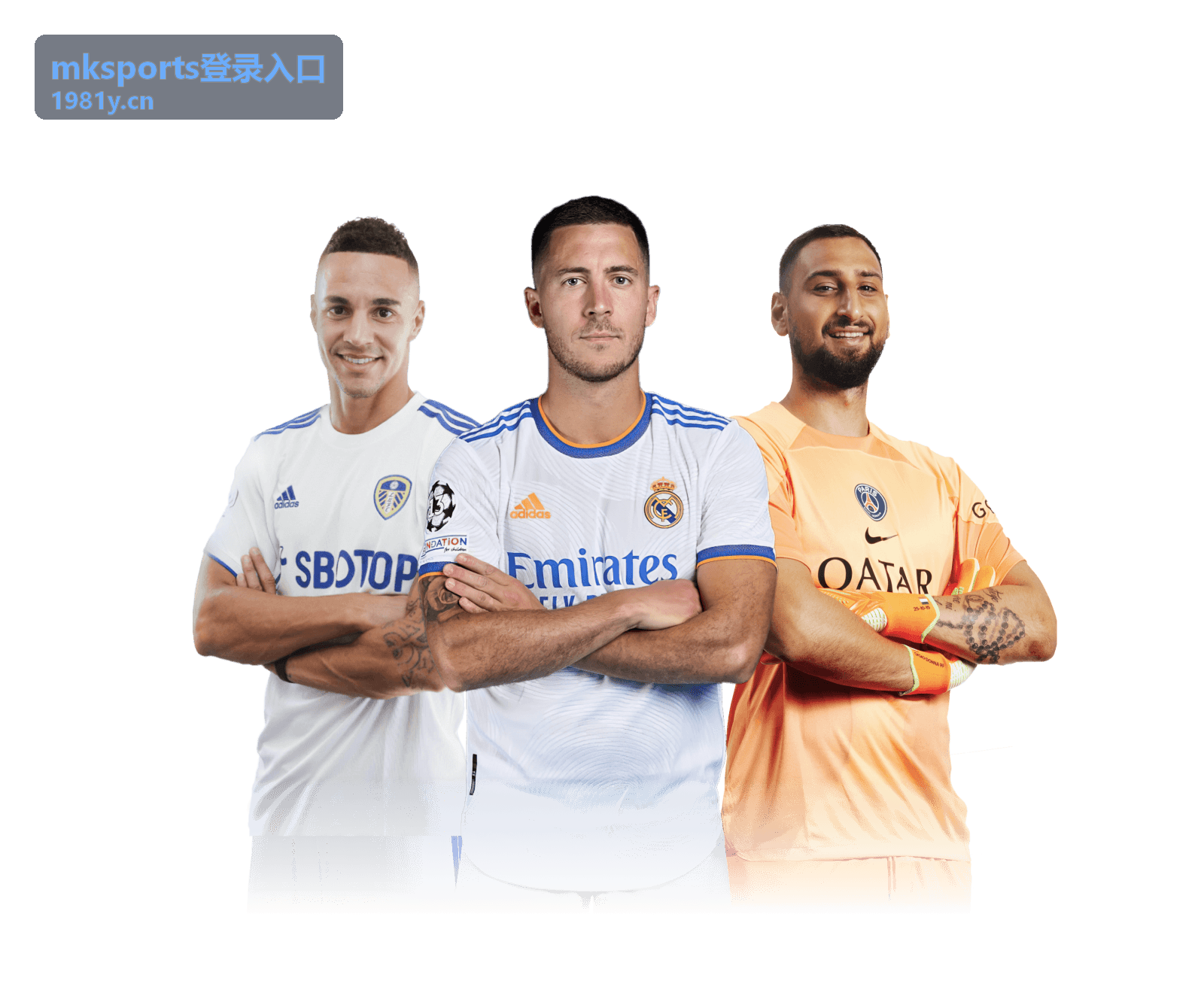 mksports登录入口会员等级对照与升级条件封面