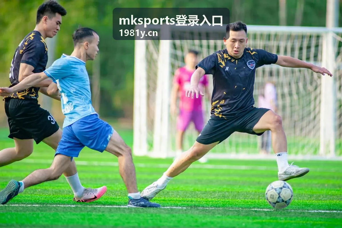 mksports登录入口安全验证拦截原因说明封面